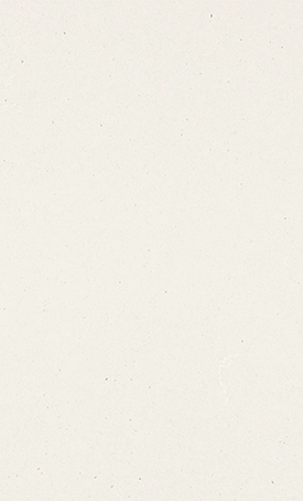 Fresh Concrete — Quartz Caesarstone® worktop finish