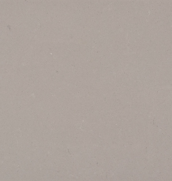 4004 Raw Concrete