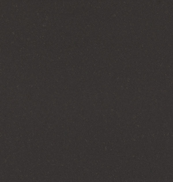 4120_Raven