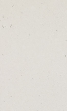 Misty Carrera — Quartz Caesarstone® worktop finish