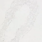 Caesarstone 5131 Calacatta Nuvo ICON fusion worktop