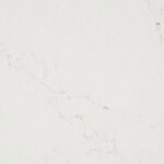 515_Palm-Shade_CU_50x70cm_1920x616px