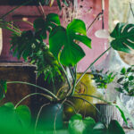 -Eclectic-3.-Complementary-accessories-