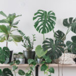 Nordic-3.-Complementary-accessories