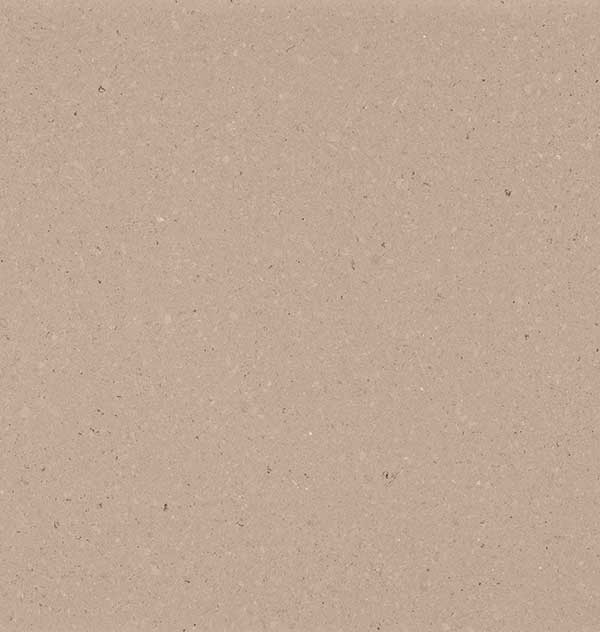 4230_Shitake