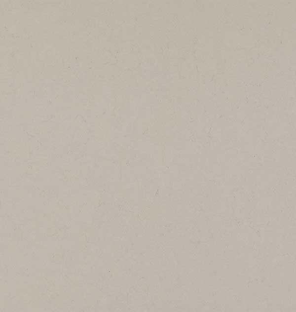 Caesarstone 1004 Stoneburst Full Slab Image