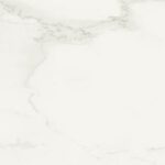 501 Snowdrift