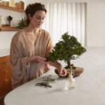 Woman tending to a bonsai tree on a Caesarstone Brillianza kitchen worktop