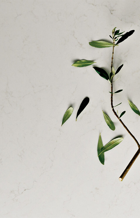 Caesarstone Mineral Surfaces