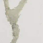 Caesarstone 8104 Calacatta Thyme ICON fusion worktop